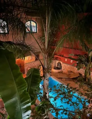 a palm tree in the middle of a pool at Maison des maitres in Tafza
