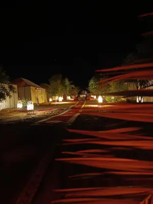 a street at night with lights on the road at enjoy best night in desert merzouga in Merzouga