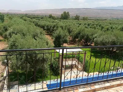 a view from a balcony of a plantation of trees at Villa Atlas View in Aghmat