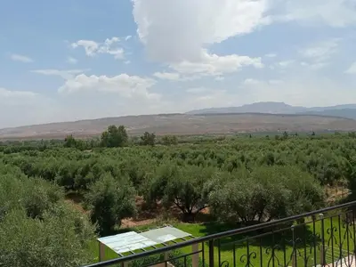 a view of a field of trees from a balcony at Villa Atlas View in Aghmat
