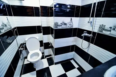 a black and white bathroom with a toilet and a shower at DAR El Ghali in Fès