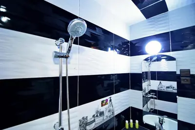 a black and white bathroom with a shower at DAR El Ghali in Fès