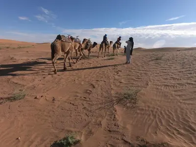 a group of people riding camels in the desert at Starlit Desert Camp in Foum Zguid