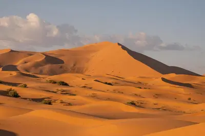 a group of sand dunes in the desert at Starlit Desert Camp in Foum Zguid