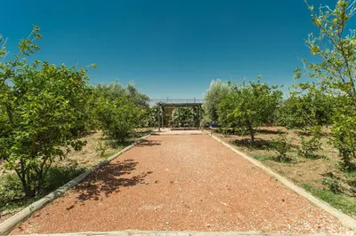 a dirt road with trees and a bridge in the background at Salamouni Villa ideal for family, 4-6 chambres, 8-12 personnes in Oulad Snaguia