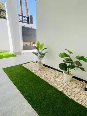 two potted plants in a room with grass at Casa Kush in Sidi Bouzguia