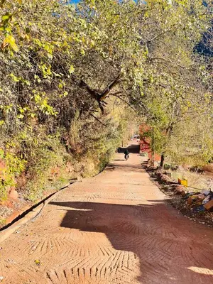 a dirt road with an archway with a dog walking down it at Family house in Ourika