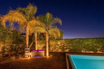 a house with a pool and two palm trees at Luxury villa, private heated pool, jacuzzi, games in Oulad Akkou