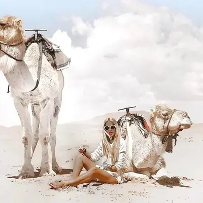 The Desert Palace