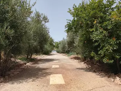 a dirt road with trees on both sides at Tazouta Farm Villa with Private Pool & Mountain Views in Tazouta