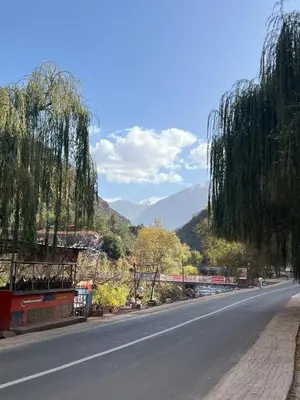 an empty road with trees and mountains in the background at Ôtel Mrrakchi in Irghaf