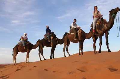 four people riding on camels in the desert at chez zakaria luxury tent camp merzouga in Merzouga