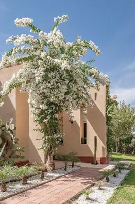 a tree with white flowers in front of a building at Villa AIMA - avec Gourvernante in Douar Soukkane