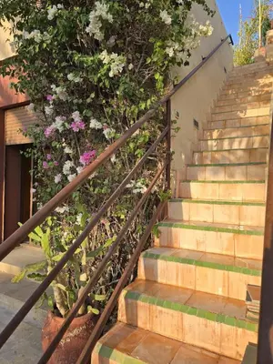 a staircase with flowers on the side of a building at Villa AIMA - avec Gourvernante in Douar Soukkane