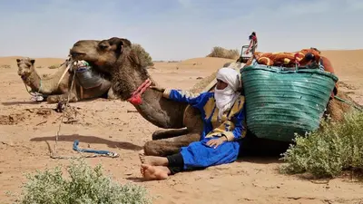 a man sitting on a camel in the desert at Planet Camp Désert Tours in Mhamid