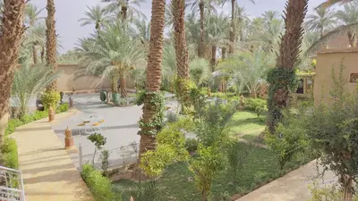 an overhead view of a garden with palm trees at Nana Diafa - Zagora Guest House & Restaurant in Zagora