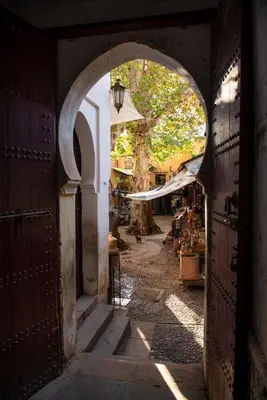 an archway leading to an alley with a tree at dar annee in Fès