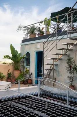 a house with stairs and potted plants on it at dar annee in Fès