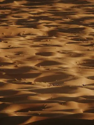 a group of people walking through the sand in the desert at Merzouga Hous in Merzouga