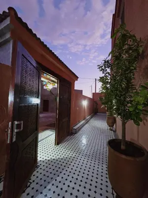 a hallway with a door and a potted plant at Riad Gogo in Aït Ben Haddou