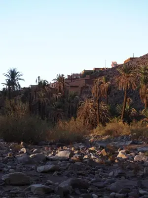 a rocky river with palm trees and buildings in the background at Gite d'tape handour in Hamdour