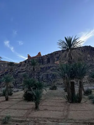 a desert with palm trees and a mountain at Gite d'tape handour in Hamdour