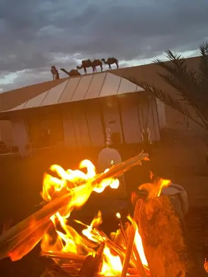 a fire in front of a building with camels in the background at Merzouga in Merdani