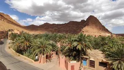 a group of palm trees in a desert with mountains at Le LAC Auberge Camping Todra in Tinerhir