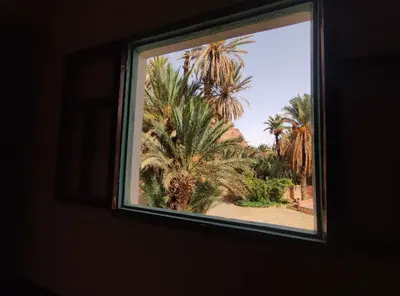 a window with a view of a palm tree at Le LAC Auberge Camping Todra in Tinerhir