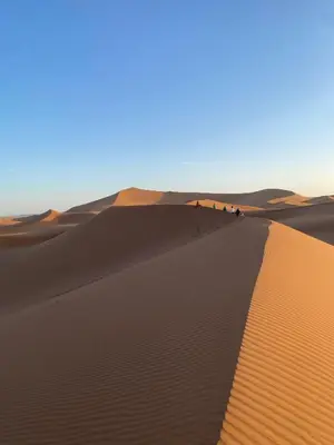 a group of people standing on a sand dune in the desert at Desert Mhamid in Mhamid