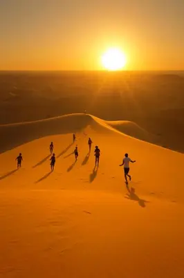 a group of people running through the desert at sunset at Casa de las Estrellas in Mhamid