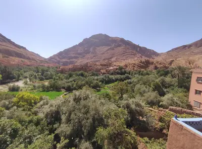 a view of a valley with mountains in the background at Casa Rural Todra Gorges in Tinerhir