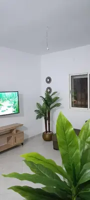 a living room with a potted plant and a tv at Appartement azrou in Azrou