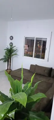 a living room with a couch and a plant at Appartement azrou in Azrou