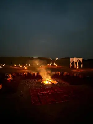a cow standing next to a fire at night at Sahara Experience Luxury Camp in Merzouga