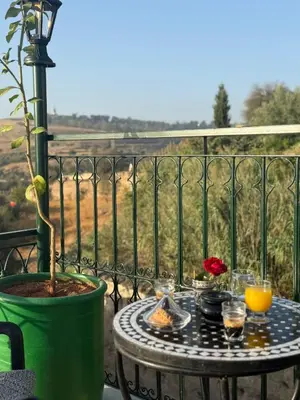 a table with drinks and a potted plant on a balcony at Riad Citronnier & Spa in Fès