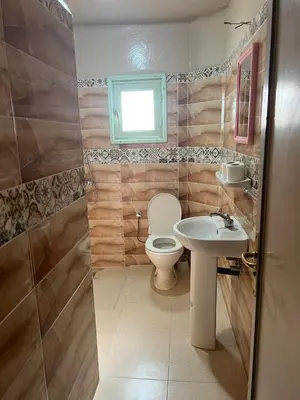 a bathroom with a toilet and a sink at COMPLEXE TOURISTIQUE ARTIZANAL bab sahara in Oulad Akkou