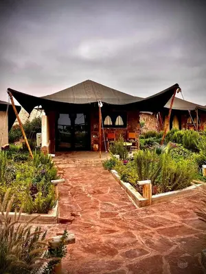 a tent in the middle of a garden with plants at Les Bedouins Agafay in Oulad Akkou
