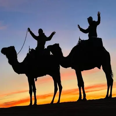 two people riding on the backs of camels at sunset at Under 1000 Stars Camp in Merzouga