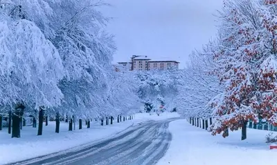 a snow covered street with trees and a building at Ravissante appartement dans les jardins in Oulad Akkou
