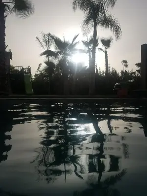 a reflection of the sun in a pool with palm trees at Maison D'hôte - Villa Privée et Paisible avec Déj' Marocain Offert