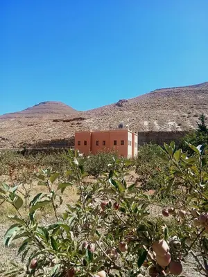 a building in the middle of a field with apple trees at Auberge Ighounba in Tinerhir