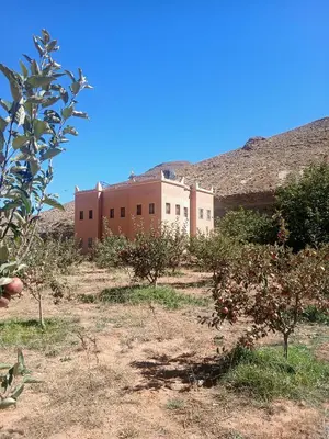 a building in the middle of a field with trees at Auberge Ighounba in Tinerhir