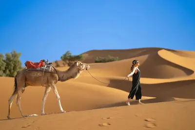 a woman walking a camel in the desert at sahara bliss camp in Merzouga