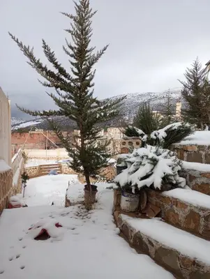 a christmas tree in a yard covered in snow at Boulemane guest house in Boulmane