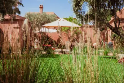 a field of grass with an umbrella in a yard at Villa Boccara Marrakech in Chaibate