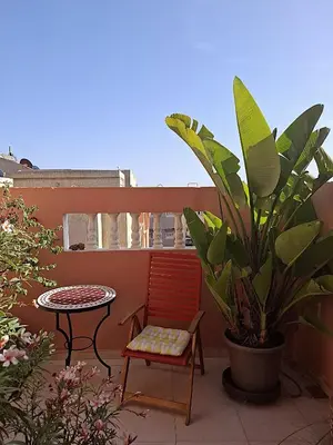 a patio with a chair and a table and a plant at Appartement cosy avec terrasse et solarium in Oulad Akkou