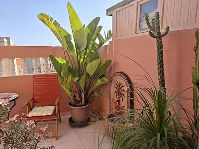 a patio with plants and a chair on a balcony at Appartement cosy avec terrasse et solarium in Oulad Akkou