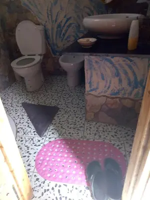 a bathroom with a toilet and a pink rug at Maison d'hotes Ait Bou Izryane in Timoulilt