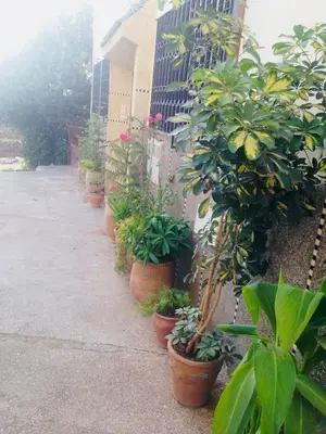 a row of potted plants on the side of a building at Appartement tout confort in Fès